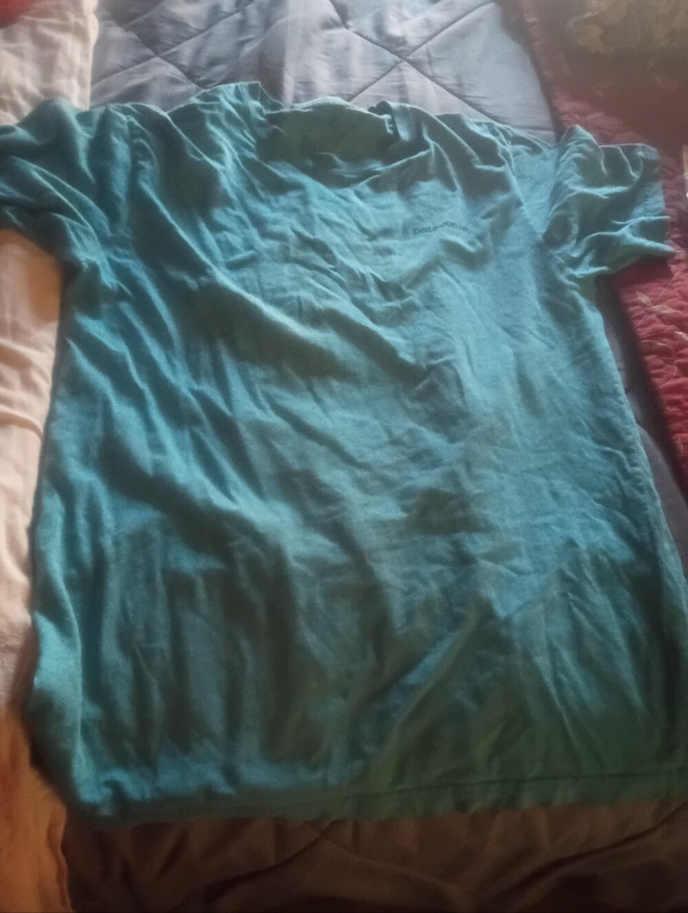 Men's Teal Crew Neck T-Shirt Patagonia